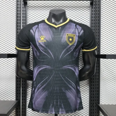 2026 Player Version Jordan Third Away jersey