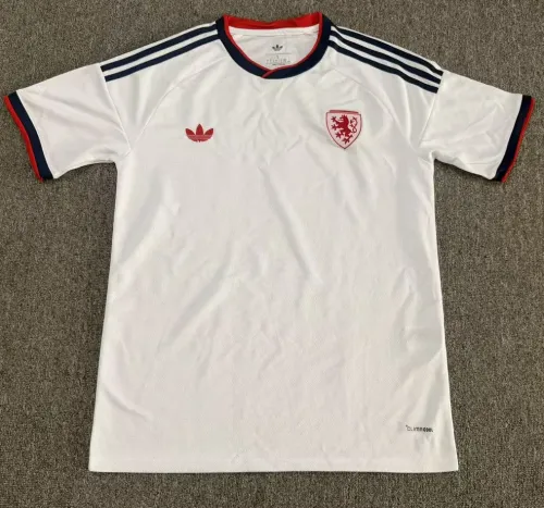 895f4a0a91 2027/2028 Czech Republic Away Jersey - Image 1