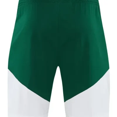 2026/2027 Italy Training Shorts - Image 2