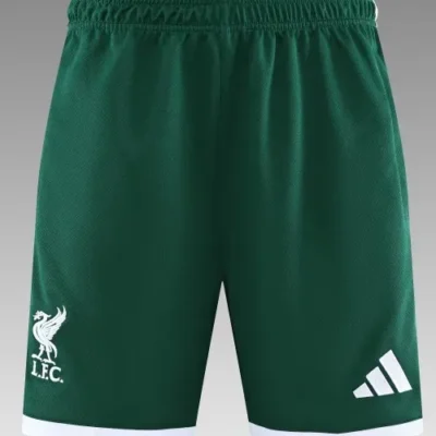 2026/2027 Liverpool Training Shorts